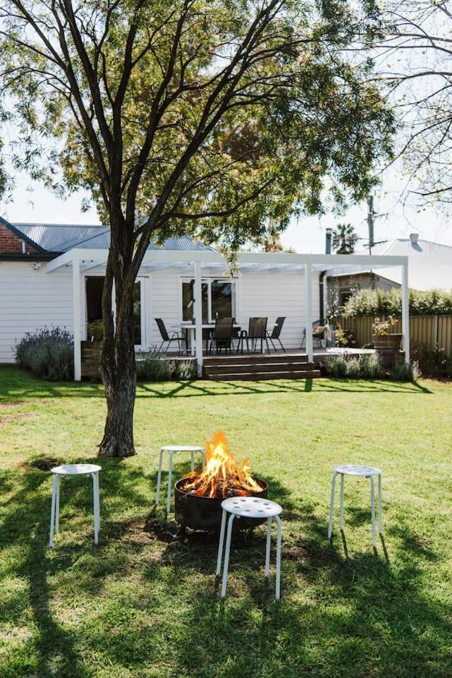 White Lavender - A Garden Escape * Mudgee