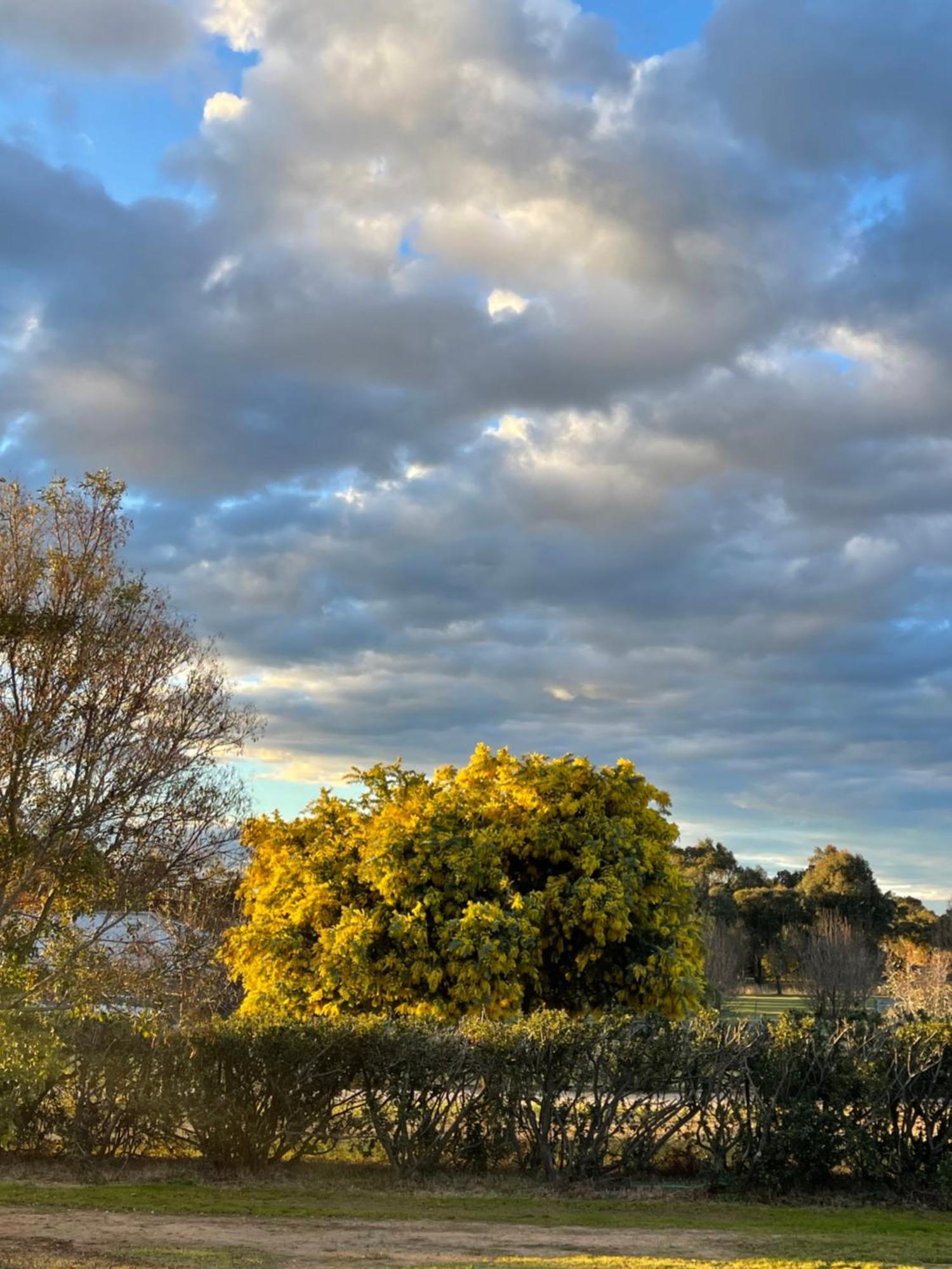 Mudgee Guesthouse Guest house Mudgee