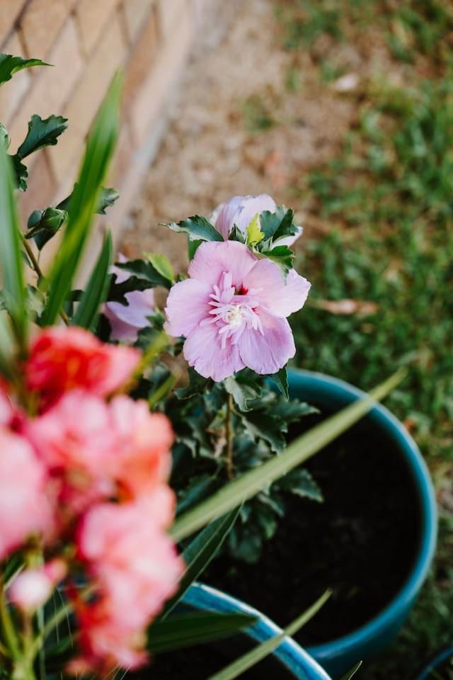 Caddy Shack - By Golf Course & Wineries Villa