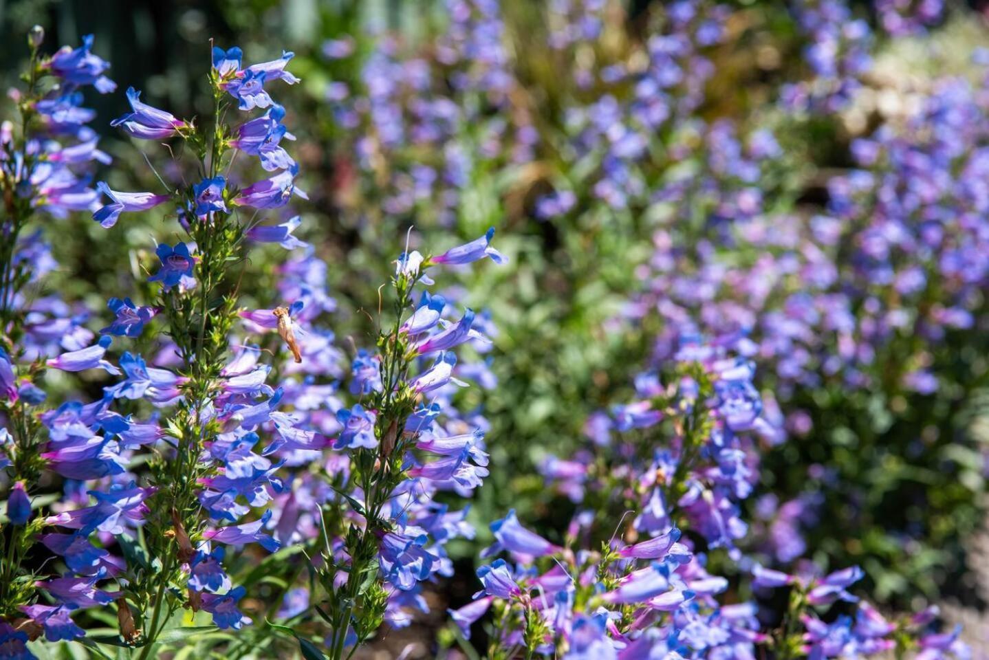 Georgie's - The Perfect Getaway Holiday home Mudgee