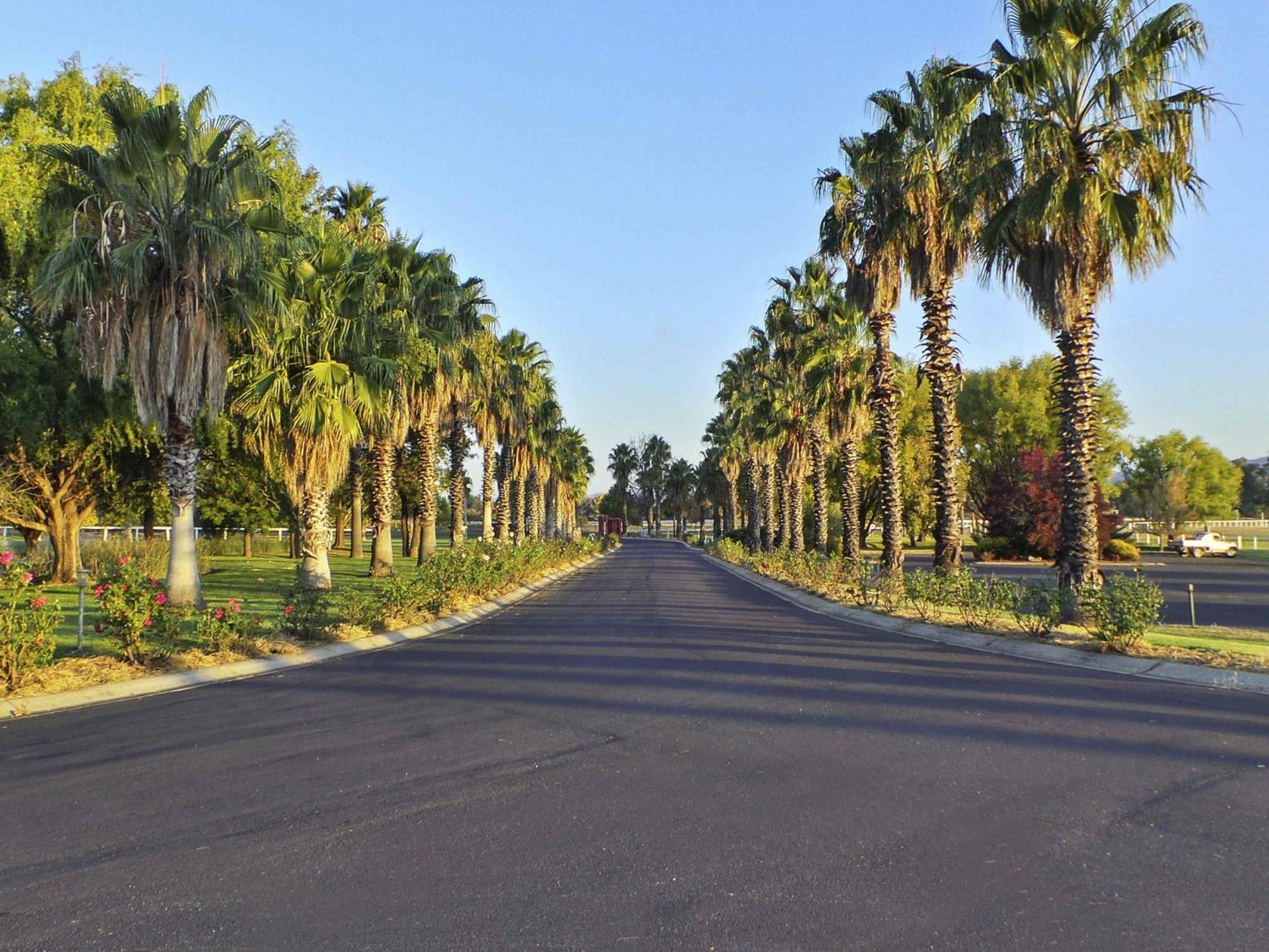 Parklands Motel 4*