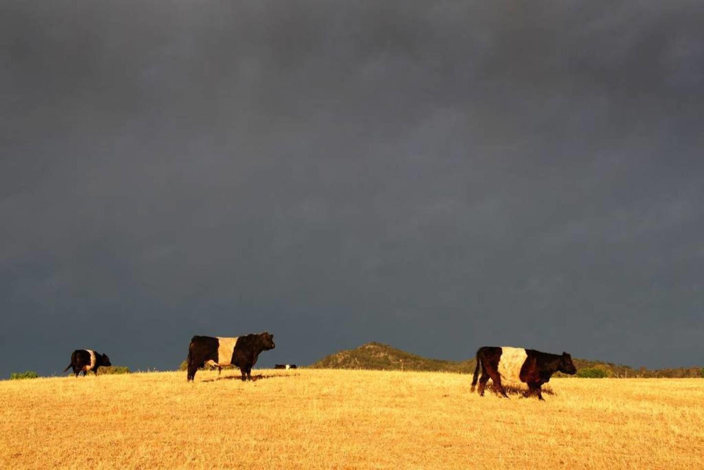 Peppertree Hill Farm Holiday home