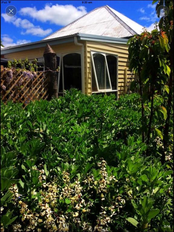 The Millers Urban Farmstay Holiday home Mudgee