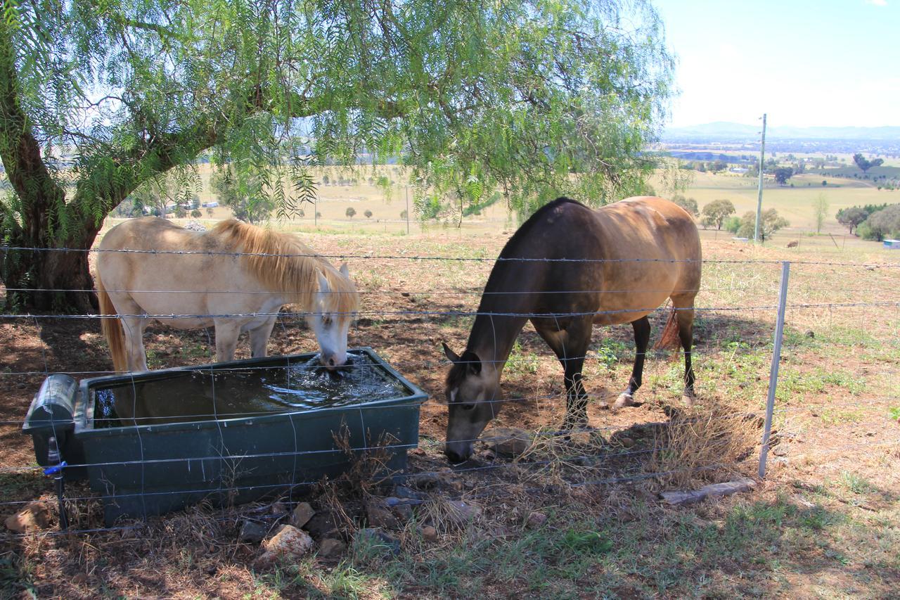 Millerton@mudgee Mudgee