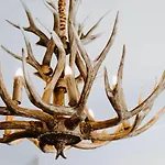 Seven Tree Hill - An Enchanting Family Homestead