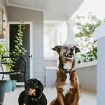 The Birdhouse - Your Well-Deserved Country Retreat