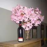 Affinity Guesthouse