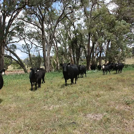 Holiday home Old Bara Homestead