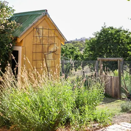 Experience Country At Lone Pine