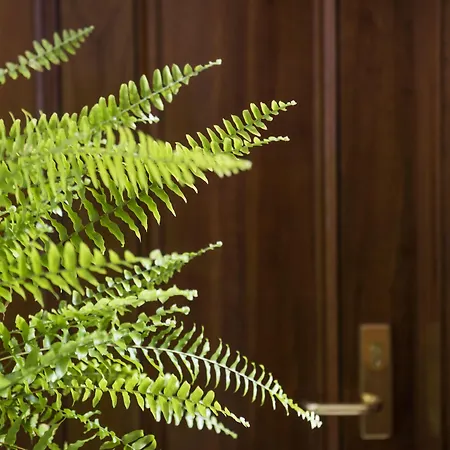 The Parkview Hotel 4*