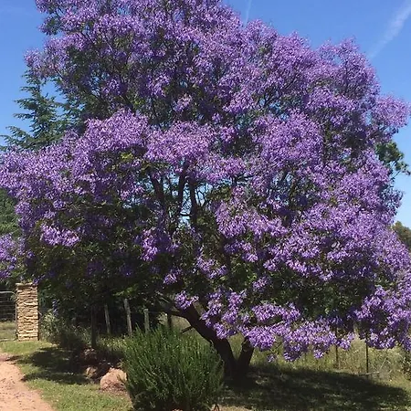 Rocky Ridge Retreat * Mudgee