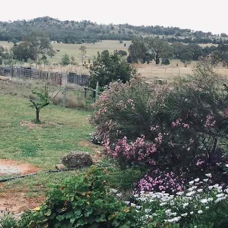 Rocky Ridge Retreat Farm stay