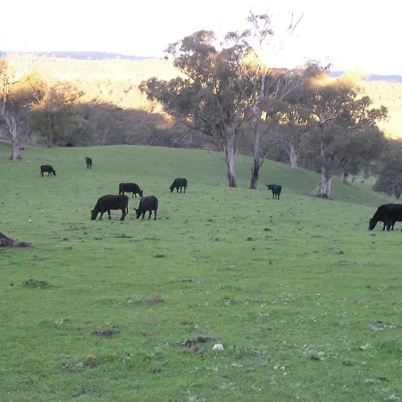 Old Bara Homestead Mudgee