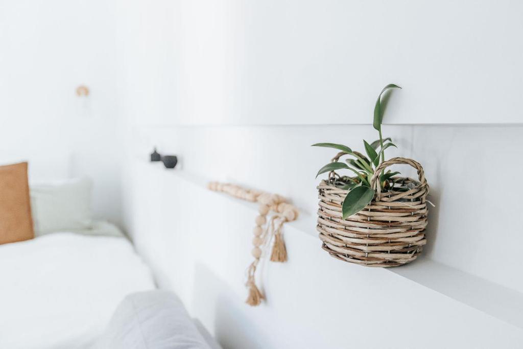 On Lewis Tiny House Guest house