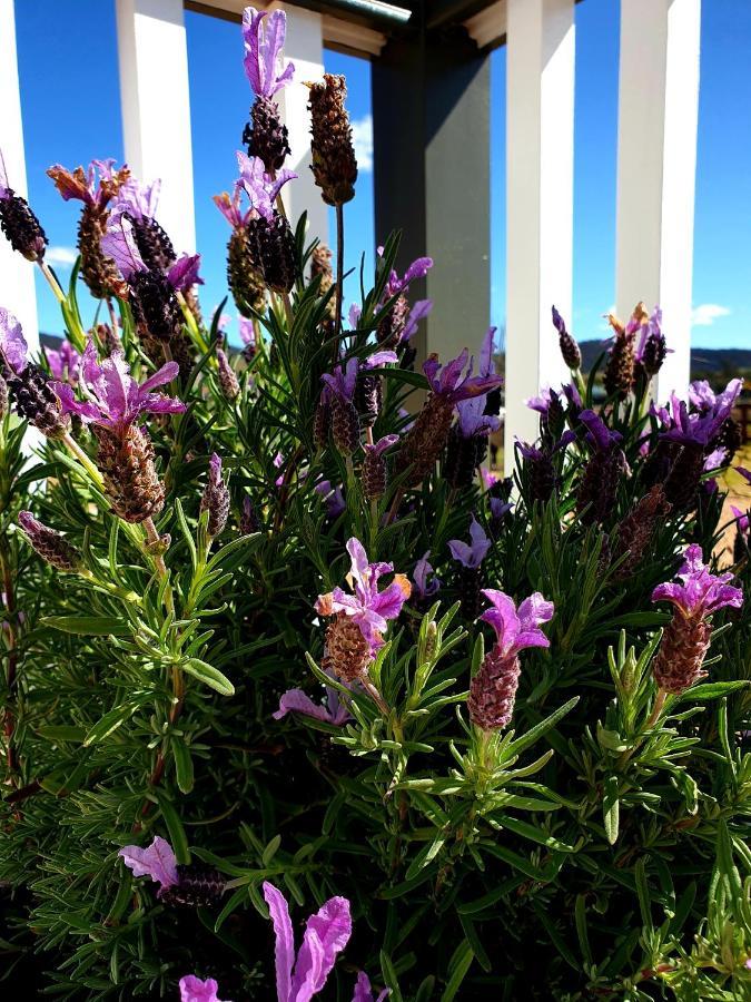 Farm stay Dangerfield Oaks Boutique Cottage's Mudgee