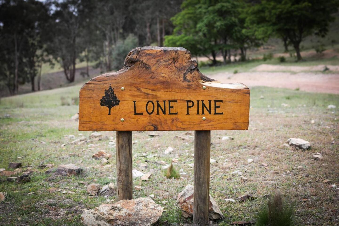 Farm stay Reset Your Senses In Meroo At Lone Pine