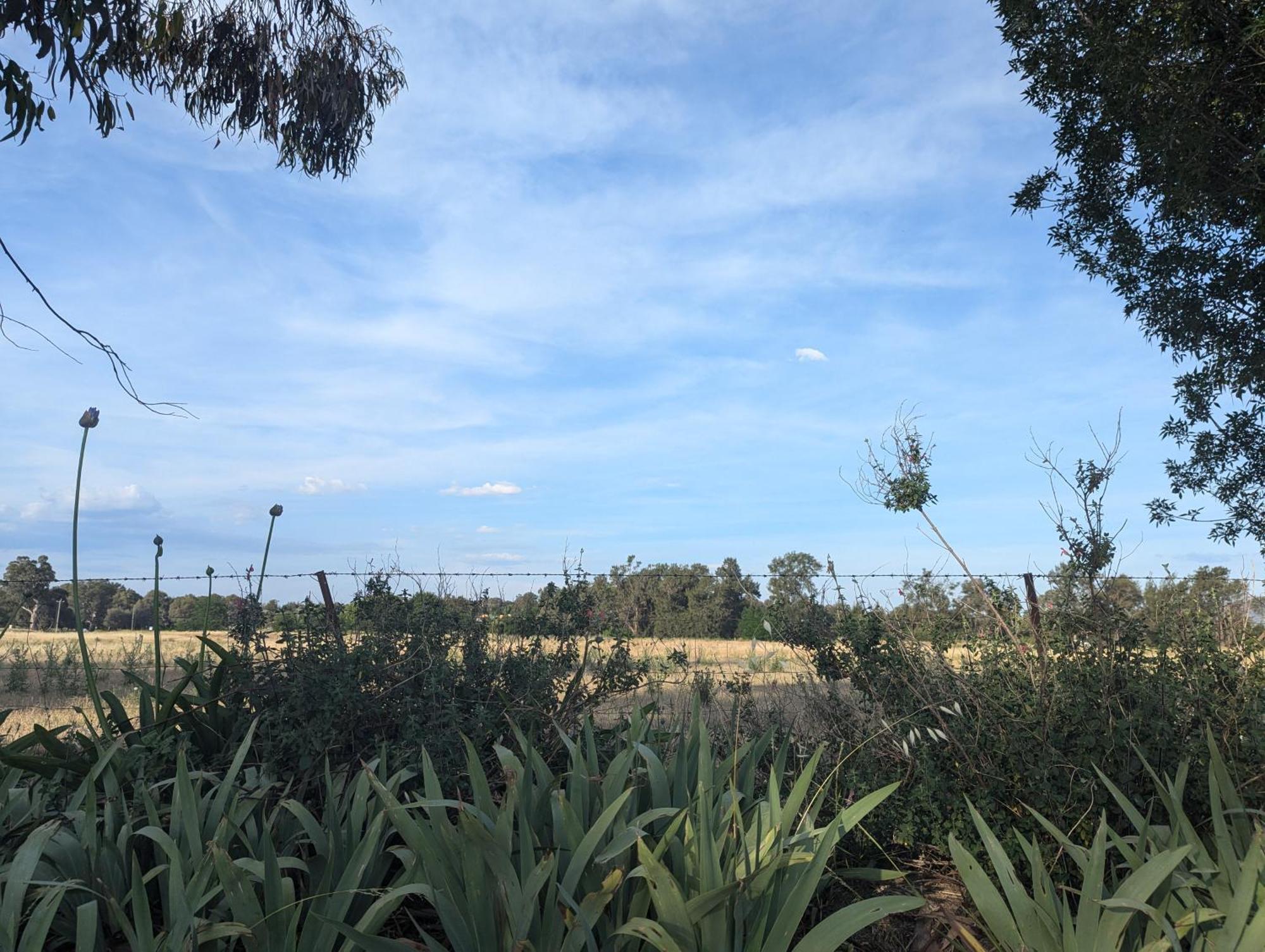 Cudgegong Valley