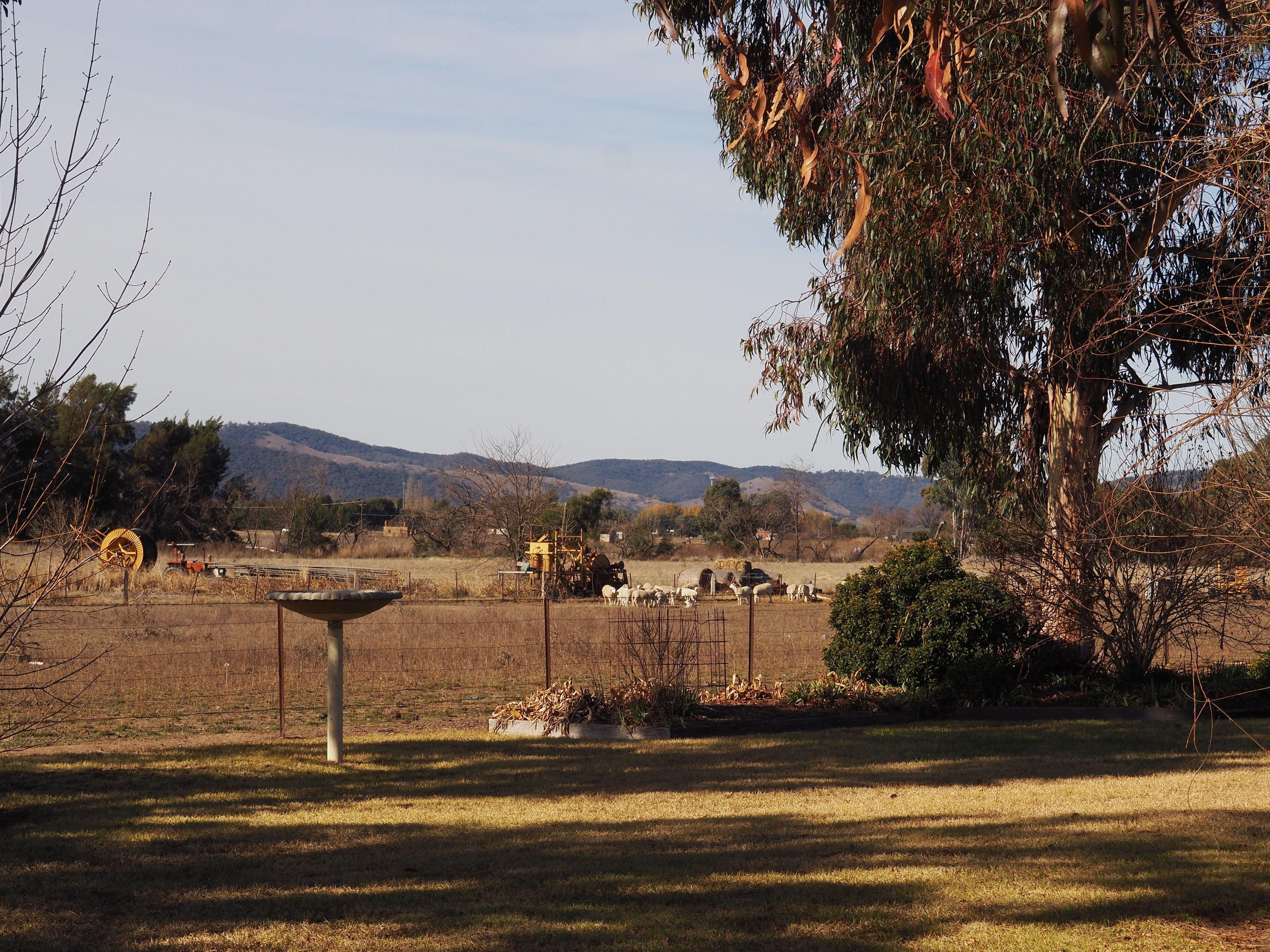 The Cudgee At Motel Mudgee