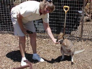 Mudgee's Getaway Cottages