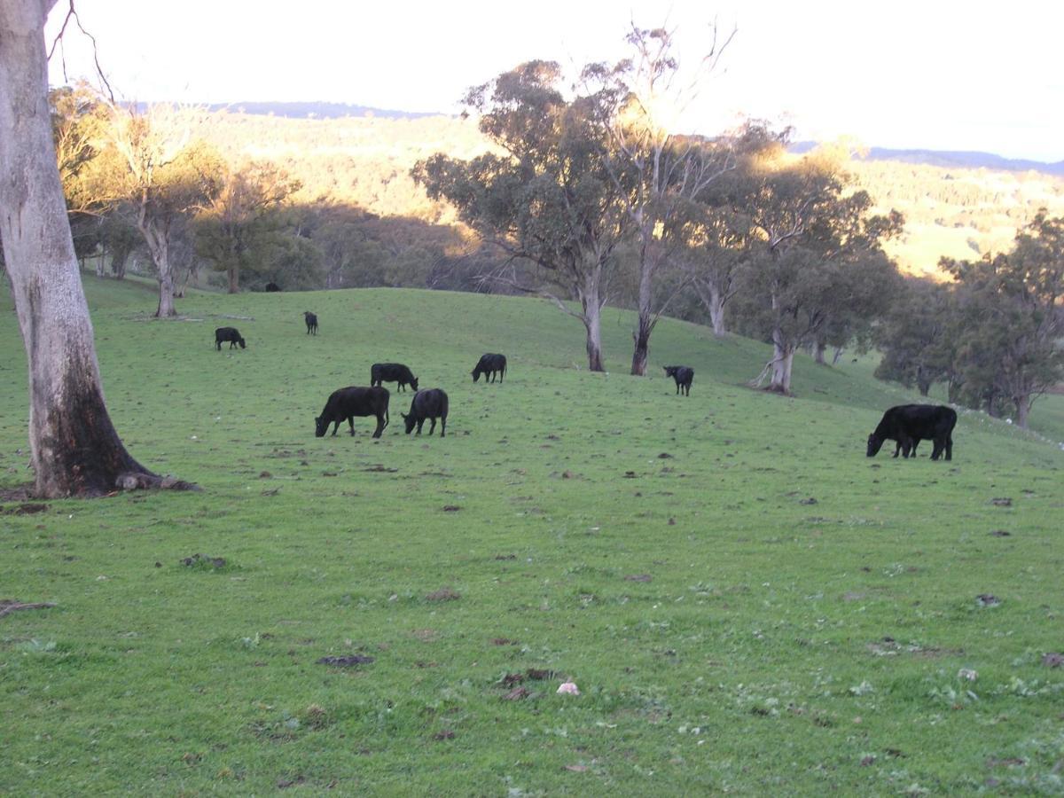 Old Bara Homestead Mudgee